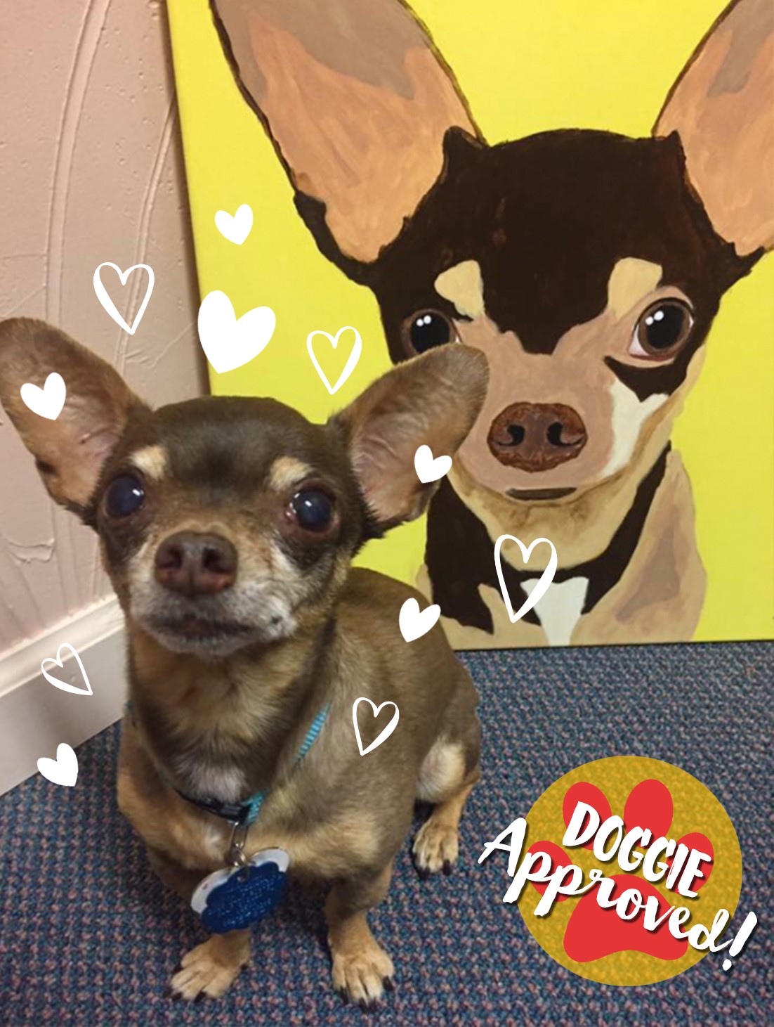 What to expect at a Paint Your Pet Class