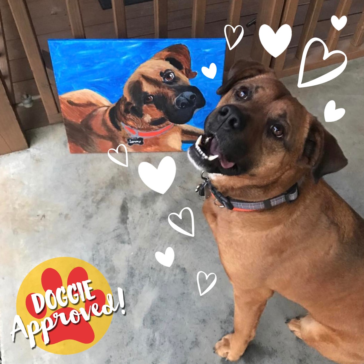 What to expect at a Paint Your Pet Class